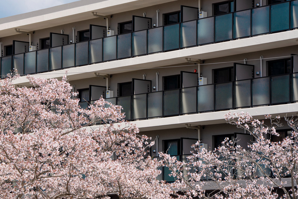 山口県立大学学生会館 Uni E'meal 桜社テラス
